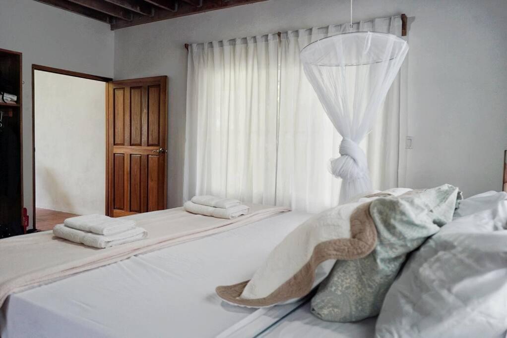 Casa Moes Βίλα Cahuita Εξωτερικό φωτογραφία