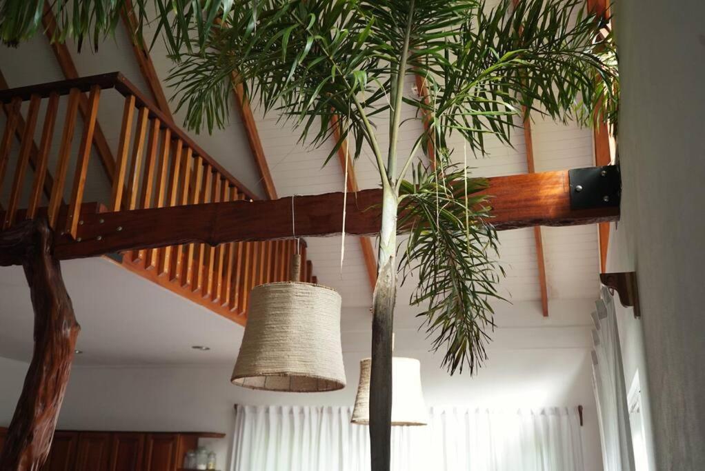 Casa Moes Βίλα Cahuita Εξωτερικό φωτογραφία