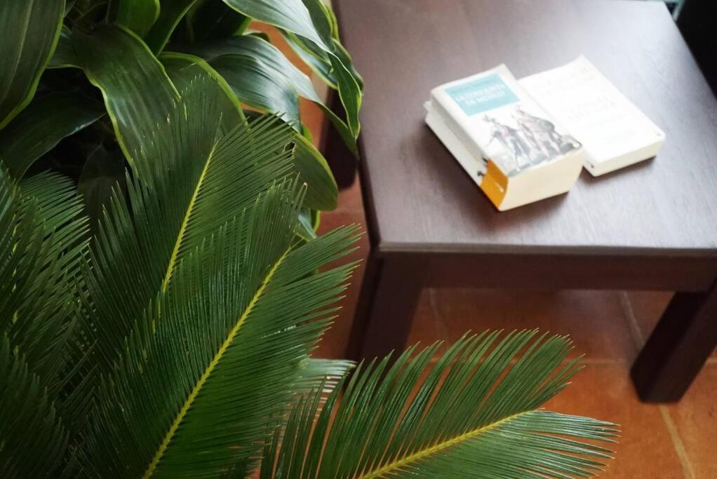 Casa Moes Βίλα Cahuita Εξωτερικό φωτογραφία